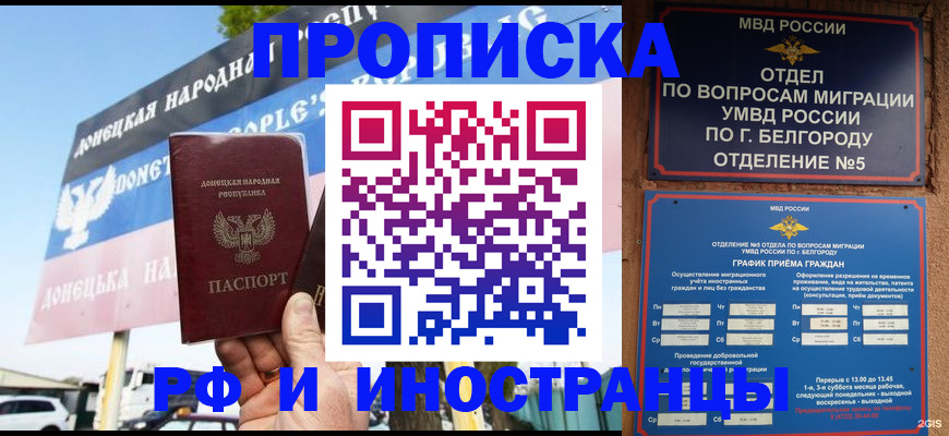 временная регистрация 2025 в Михайловке